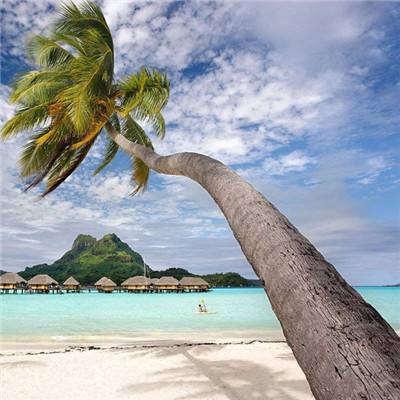 武林外传同福奇缘无敌版